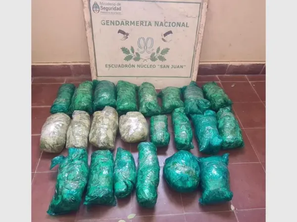 Vallecito Secuestraron Kilos De Hoja De Coca Delsur Diario